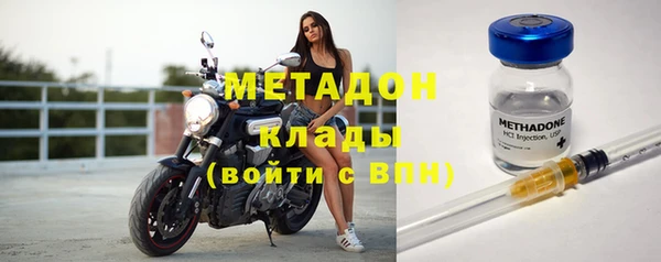 прущие грибы Козельск
