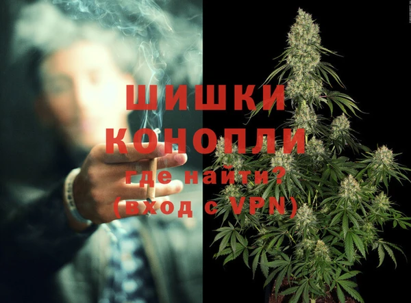 дмт Белокуриха
