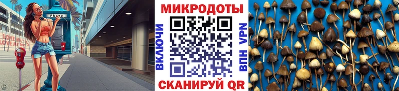Галлюциногенные грибы мухоморы  Курильск 